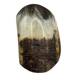 Polished Natural Cow Horn Tip Display Piece 3” Rustic Decor,‎ Taxidermy, Craft